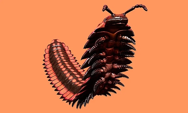 7. Arthropleura: Dev Böcek