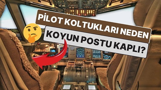 Kokpit Koltuklarında Koyun Postu Kullanılmasının Belki de Daha Önce Duymadığınız Sebepleri