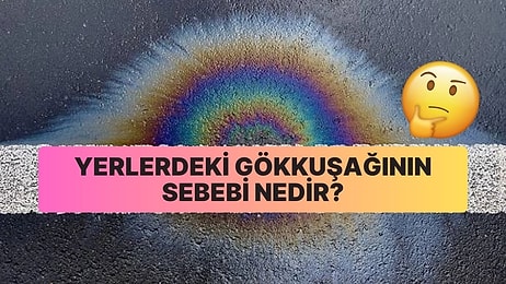 Sebebi Düşündüğünüzden Daha Basit: Yağmurlu Günlerde Yerde Gökkuşağı Görmemizin Sebebi Nedir?