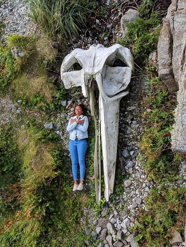 Would you believe this is the skull of a whale?