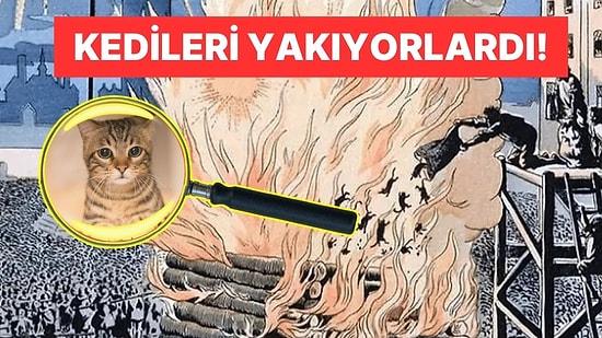 Orta Çağ Avrupa'sında Kedilerin Şeytan İlan Edilip, Yakılarak ve Dövülerek Katledilmesinin Acımasız Tarihi