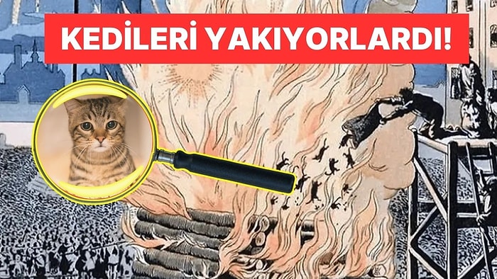 Orta Çağ Avrupa'sında Kedilerin Şeytan İlan Edilip, Yakılarak ve Dövülerek Katledilmesinin Acımasız Tarihi