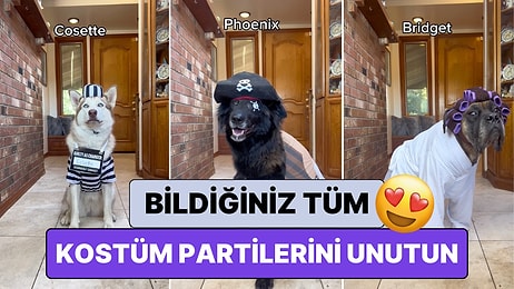 15 Köpeğini Cadılar Bayramına Hazırlayan Çiftin Aşırı Yaratıcı Kostüm Seçimlerine Bayılacaksınız