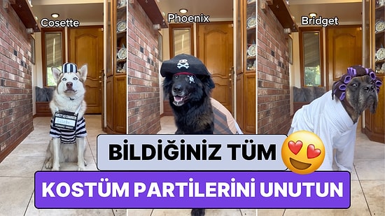 15 Köpeğini Cadılar Bayramına Hazırlayan Çiftin Aşırı Yaratıcı Kostüm Seçimlerine Bayılacaksınız