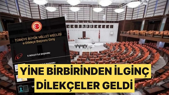 TBMM'ye Verilen Dilekçeler Yine Dikkat Çekti: Uzun Evliliklere Maaş Talebi