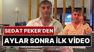 Sedat Peker’den Aylar Sonra İlk Video: Sedat Peker Suskunluğunu Tacizci ve Tecavüzcüler İçin Bozdu