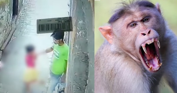 According to a report by the Times of India, a 6-year-old girl near New Delhi city claimed that monkeys saved her.