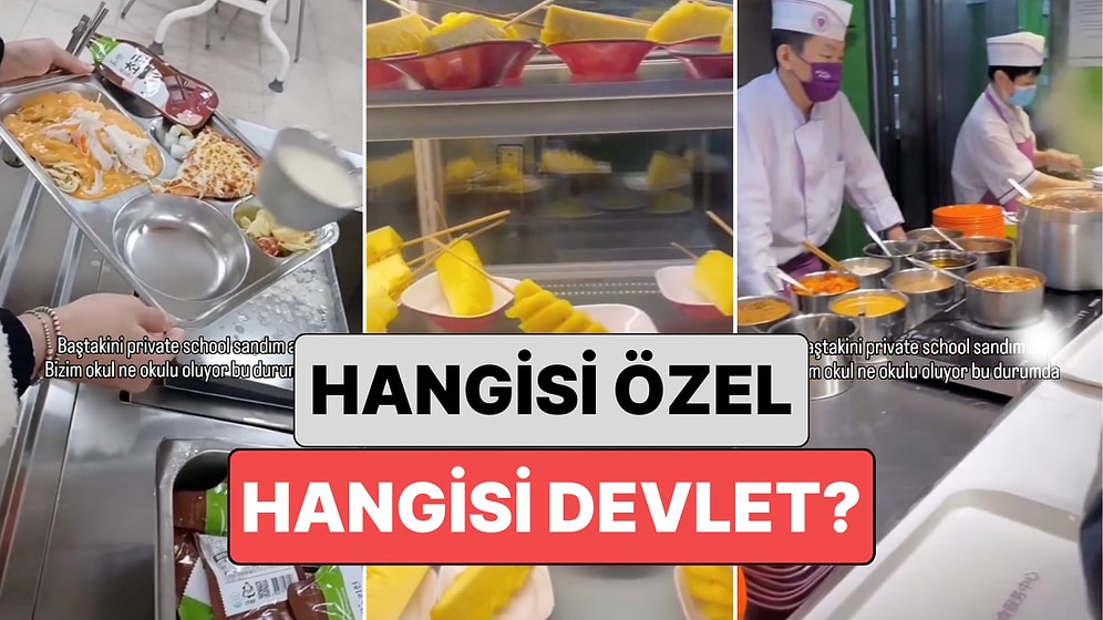 Hangisi Devlet Okulu Anlaşılmadı: Yurt Dışında Bir Öğrenci Özel Okul ve Devlet Okulu Yemeklerini Karşılaştırdı