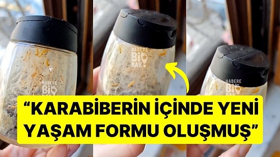 Mutfak Dolabı İçinde Unuttuğu Baharatlığı Görünce Şok Oldu! "Karabiberin İçinde Yeni Bir Yaşam Formu Oluşmuş"