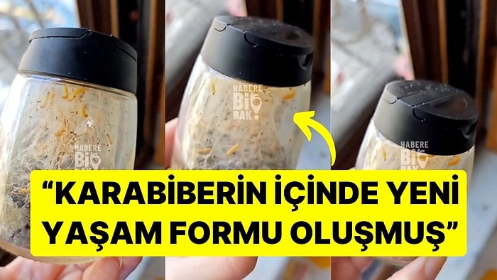 Mutfak Dolabı İçinde Unuttuğu Baharatlığı Görünce Şok Oldu! "Karabiberin İçinde Yeni Bir Yaşam Formu Oluşmuş"