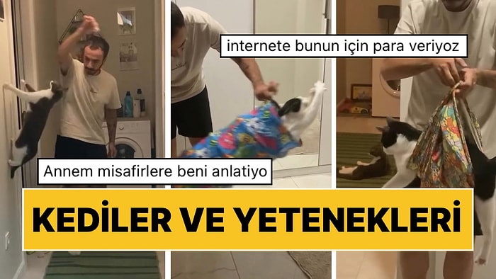 Kedilerinin Yeteneklerini Anlatan Hayvansever “Annem Misafirlere Beni Anlatıyor” Dedirtti