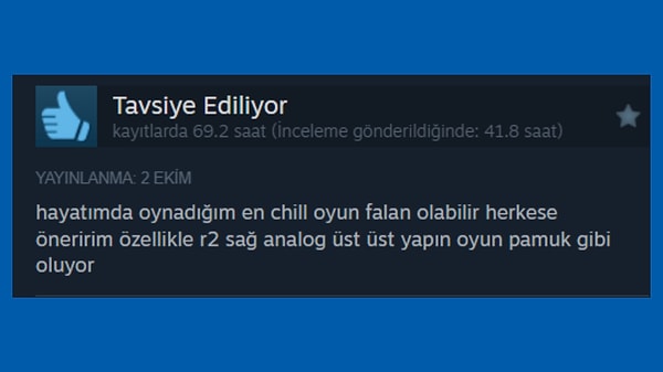 8. "Hayatımda oynadığım en chill oyun" 🤡