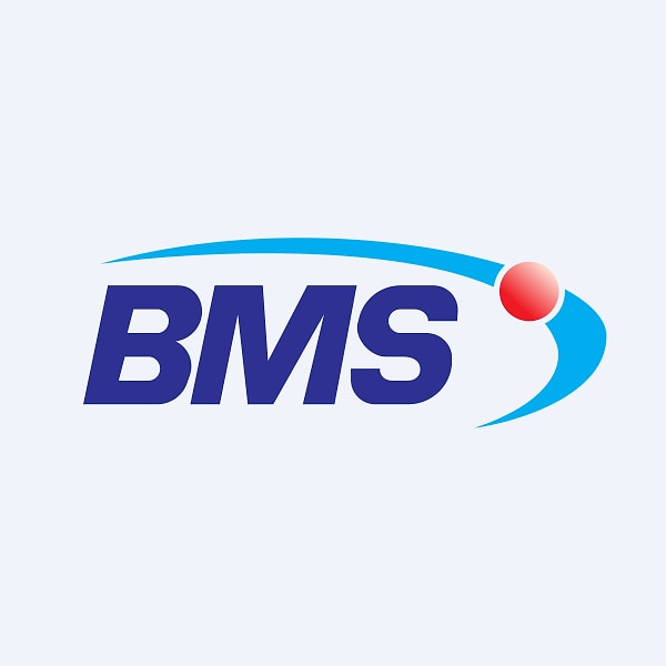 6. BMS Çelik Hasır Sanayi ve Ticaret A.Ş. (BMSCH)