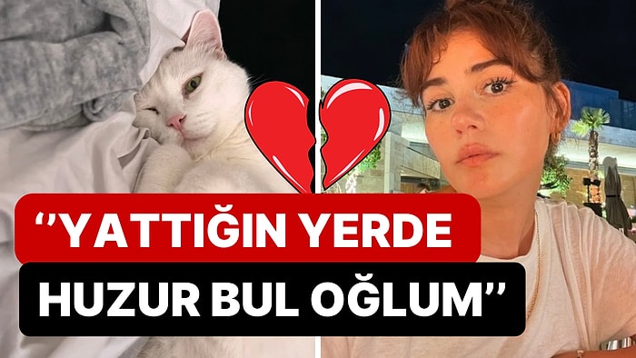 Oyuncu Zeynep Çamcı Kedisi Mivzi'yi Kaybettiğini Sosyal Medyasından Duyurdu: ''Gel de Seveyim be Oğlum!''