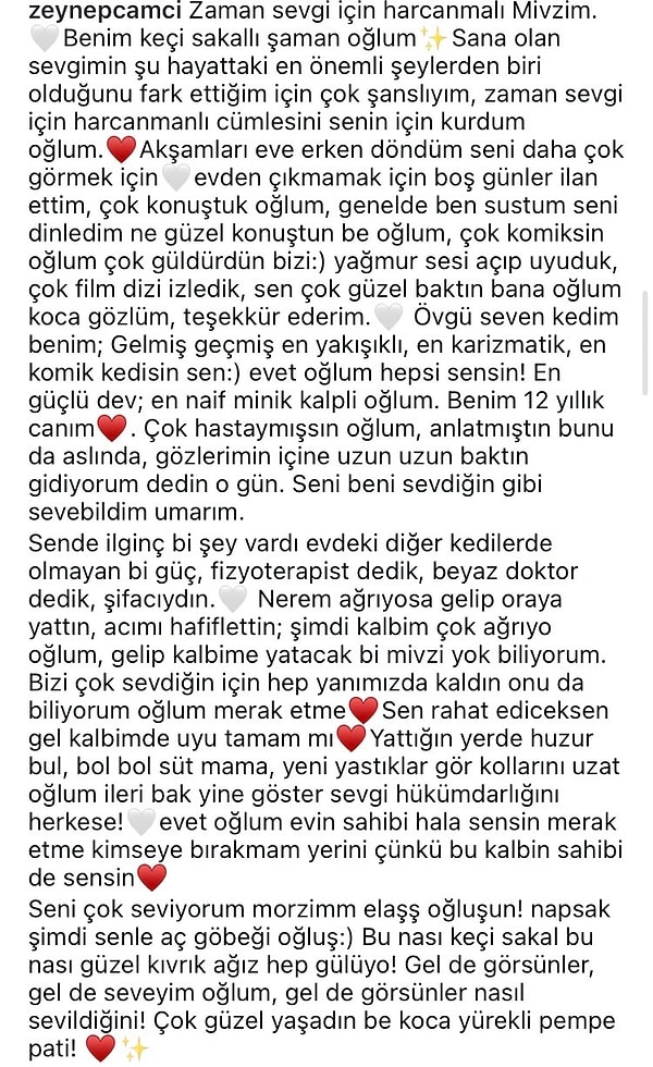 Zeynep Çamcı'nın yazısının tamamını sizler için şuraya bıraktık👇