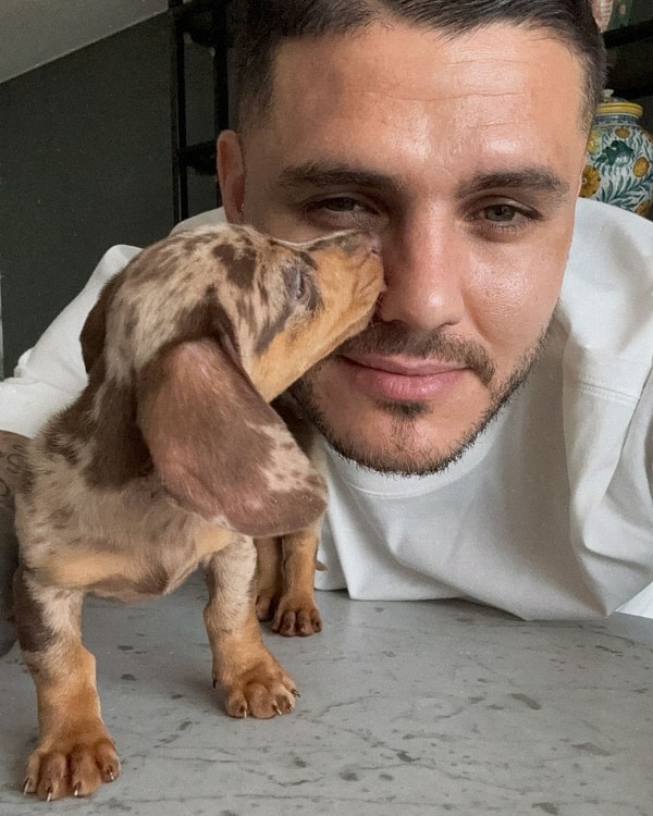 Köpeğiyle poz veren Icardi, “Köpekler sevgiyi kelimelerde değil kalpte algılarlar.” dedi.