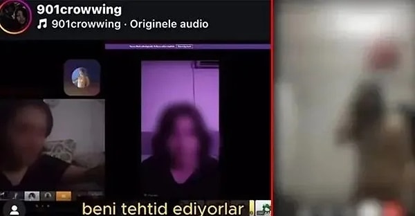 Sonrasında bazı Discord gruplarında hayvana işkence görüntülerinin paylaşıldığı, kadın cinayetlerinin övüldüğü ve dolandırıcılık faaliyetleri yapıldığı ortaya çıkmıştı.