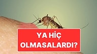 Muhtemelen Bir Kez de Olsa Düşünmüşsünüzdür: Sivrisinekler Olmasaydı Dünya Nasıl Bir Yer Olurdu?