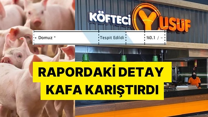 Kafaları Karıştıran Soru: Köfteci Yusuf'un Raporundaki Binde 1 Domuz Eti İfadesi Ne Demek?