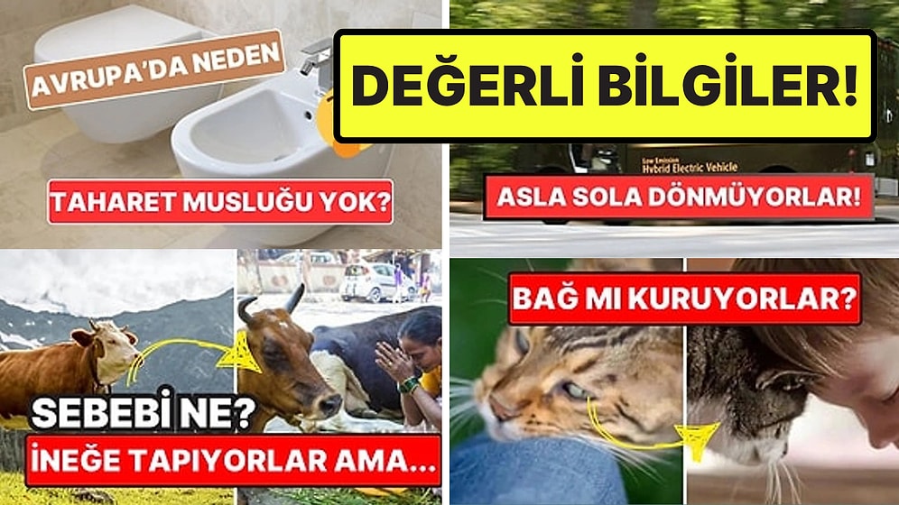 Sohbetlerin Aranan İsmi Olacaksınız: Arkadaş Ortamında Satabileceğiniz 15 Şaşırtıcı Bilgi