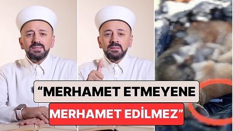 Hafız Mustafa Efe Gebze'de Yaşanan Hayvan Katliamı Hakkında Konuştu: "Merhamet Etmeyene Merhamet Edilmez"