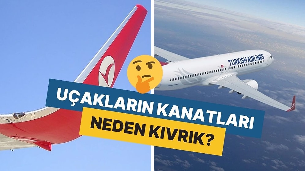 Maliyet Düşürmeye Kadar Gidiyor: Uçak Kanatlarının Uçları Neden Kıvrıktır?