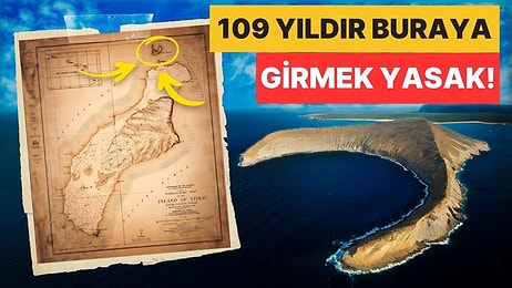 Neredeyse 109 Yıldır Kapalı: Yasak Ada Olarak da Bilinen Niihau Adasına Neden Kimse Alınmıyor?