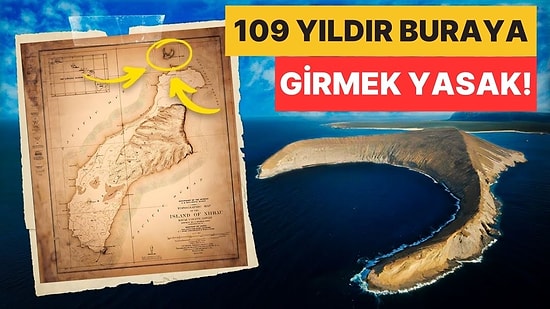 Neredeyse 109 Yıldır Kapalı: Yasak Ada Olarak da Bilinen Niihau Adasına Neden Kimse Alınmıyor?