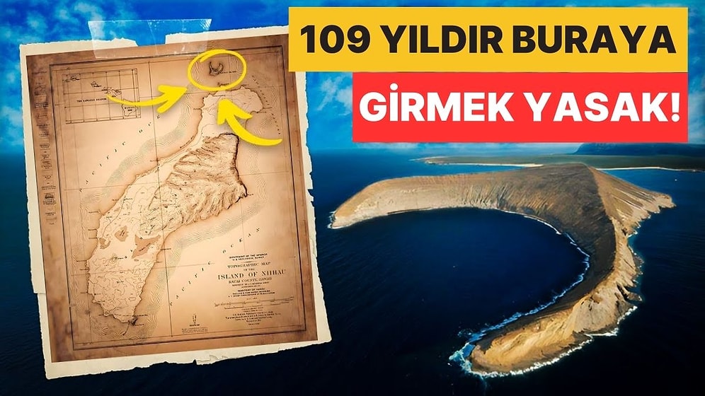 Neredeyse 109 Yıldır Kapalı: Yasak Ada Olarak da Bilinen Niihau Adasına Neden Kimse Alınmıyor?