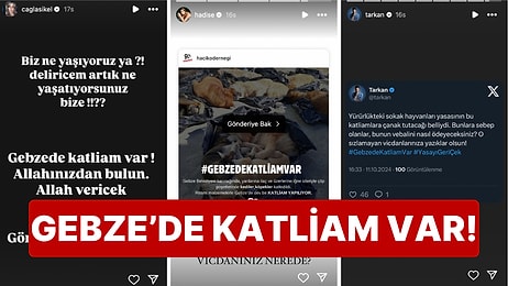 Vicdanınız Nerede Sizin? Ünlü İsimlerin Gebze Hayvan Rehabilitasyon Merkezi’nde Yaşanan Katliama Tepkileri!