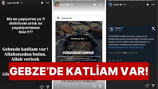 Vicdanınız Nerede Sizin? Ünlü İsimlerin Gebze Hayvan Rehabilitasyon Merkezi’nde Yaşanan Katliama Tepkileri!