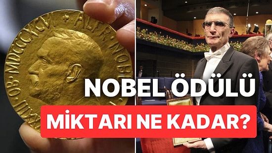 Dünyanın En Prestijli Ödülü Nobel'i Kazananlara Ne Kadar Ödül Veriliyor?