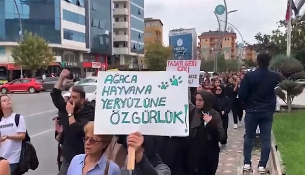 Sloganlarda belediye başkanı için katil ifadeleri kullanılırken, masum canlarımızın sesi olmak isteyen vatandaşlar adliye binasına doğru yöneldi.