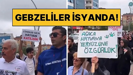 Gebze’deki Hayvan Katliamından Sonra Vatandaşlar Eylem Yaptı: “Belediye Başkanı İstifa”