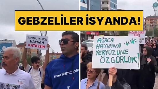 Gebze’deki Hayvan Katliamından Sonra Vatandaşlar Eylem Yaptı: “Belediye Başkanı İstifa”