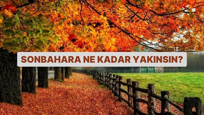 Sonbahara Ne Kadar Yakınsın?