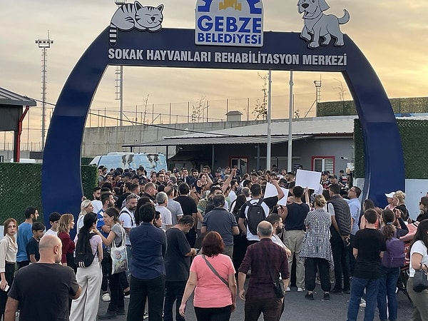 Onlarca hayvanseverler tüm Türkiye'den seslerini duyurdu. Gebze Belediyesi ve Rehabilitasyon merkezi önünde eylemler de gerçekleşti.