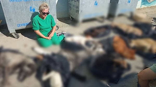 Kocaeli'nin Gebze Belediyesi'ne ait Sokak Hayvanları Geçici Bakımevi ve Rehabilitasyon Merkezi'nde 30 köpek, 14 kedi ve 1 karganın " ilaçla" öldürüldüğü haberi ülke genelinde büyük bir infial yarattı.