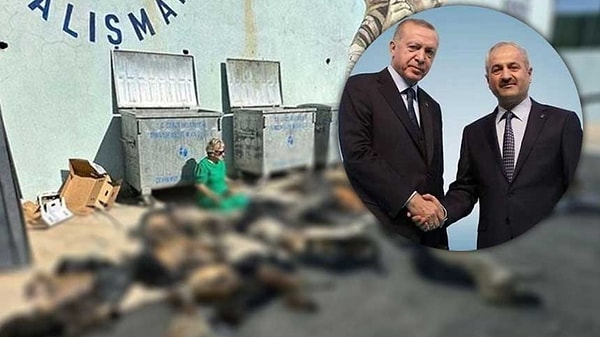 Duyarlı vatandaşların ayaklanıp eylem yapması üzerine AK Partili Gebze Belediye Başkanı Zinnur Büyükgöz de açıklama yapmak zorunda kaldı.