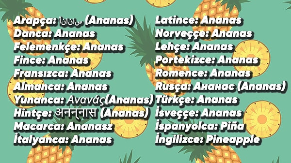 Türkiye dahil Almanlar, Fransızlar, Yunanlılar, Ruslar ve Araplar bu meyveye ''Ananas'' diyorken; İspanyollar ve İngilizler ise inatla "pineapple" diyor. Bunun nedenini öğrenmek için ise gelin kısa bir tarih turuna çıkalım: