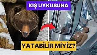 İnsanlar Neden Tıpkı Ayılar Gibi Kış Uykusuna Yatmıyor?