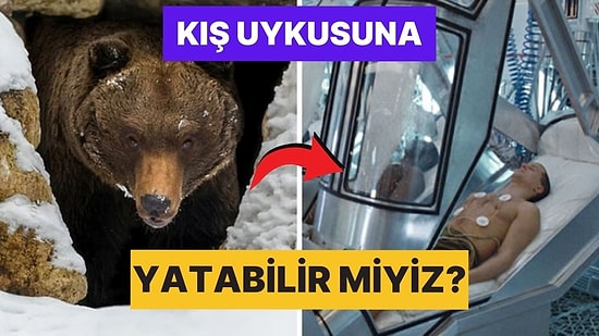 İnsanlar Neden Tıpkı Ayılar Gibi Kış Uykusuna Yatmıyor?