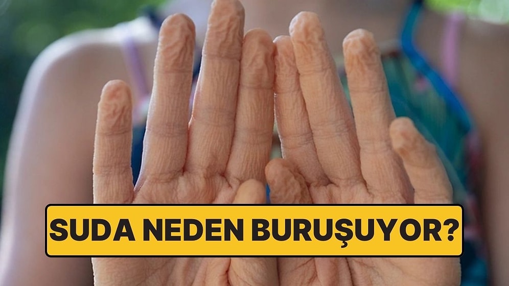 El ve Ayak Parmaklarımızın Suda Buruşmasının Sebebi Nedir?