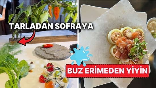 Lüks ve Pahalı Restoranların Masaya Geldiğinde Hayatı Sorgulatacak Göz Kanatan Sunumları