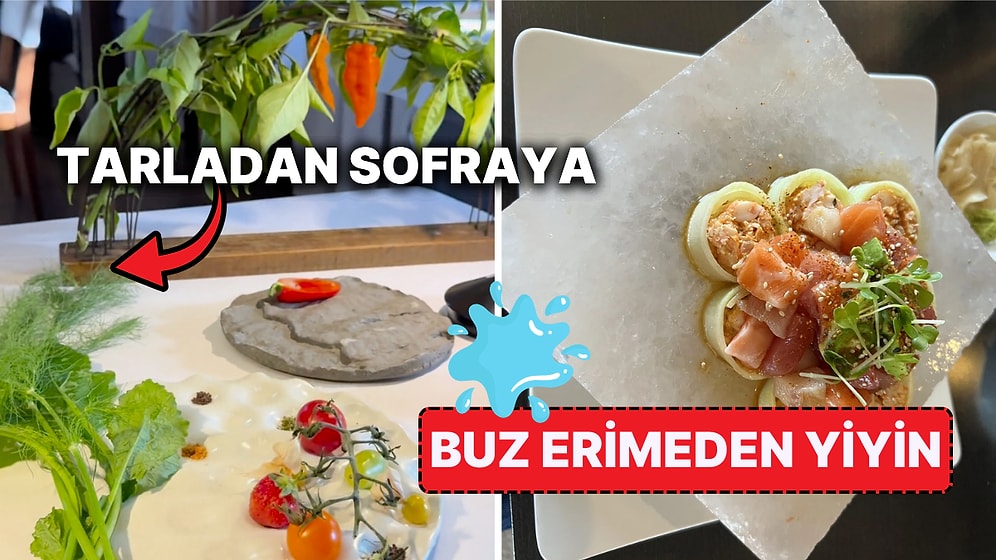 Lüks ve Pahalı Restoranların Masaya Geldiğinde Hayatı Sorgulatacak Göz Kanatan Sunumları