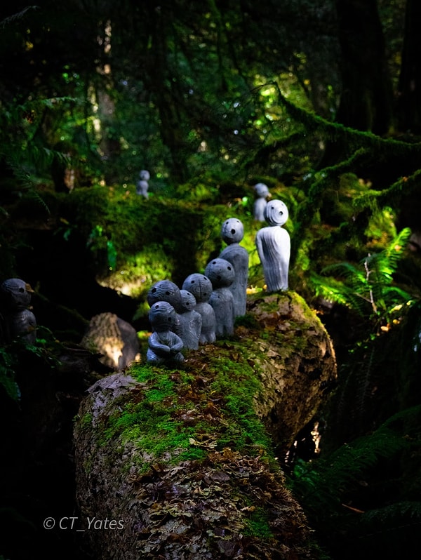 8. Tintern Abbey'in Puzzlewood başılması