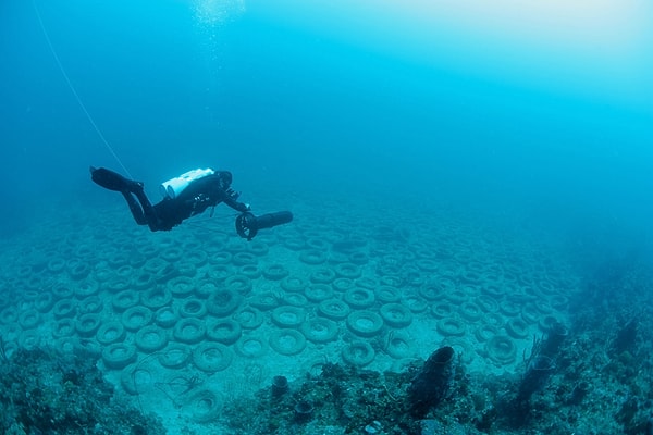 Proje hem deniz canlıları için yeni bir yaşam alanı yaratmayı hem de dalgıçlar ve turistler için cazip bir destinasyon oluşturmayı amaçlıyordu.