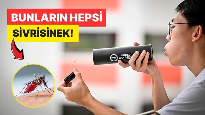 Keşke Bizde de Olsa Dedirtiyor: Singapur Her Hafta Neden Tam 5 Milyon Sivrisineği Doğaya Salıyor?