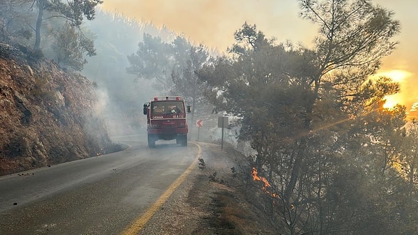 Sabah gün doğumuyla birlikte 6 uçak ve 1 helikopter havadan söndürme çalışmalarına başladı. Bölgede şiddetli rüzgarın etkisi söndürme çalışmalarını zorlaştırıyor.