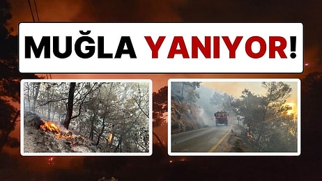 Yine Yangın Yine Muğla: Dalaman, Gökova Körfezi ve Milas’ta Yangınlar Devam Ediyor